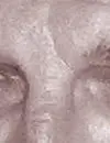 13251