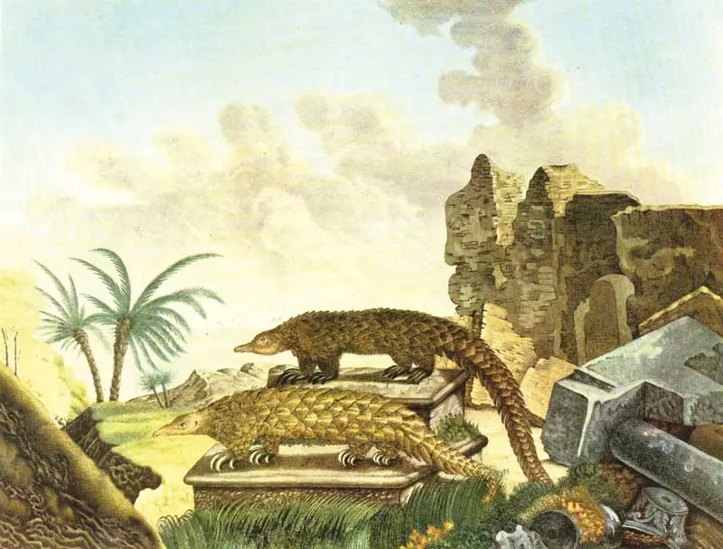 bestiaire