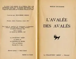 1 C Avalee-pirate