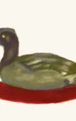 Poule