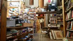Mostly Books