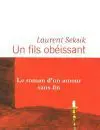 Seksik Un fils Flammarion WEB