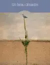 Eddie_Un-beau-Desastre_AltoWEB
