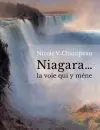 E Champeau_Niagara_David WEB