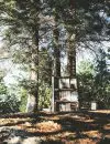 Une autre Bibliothèque de survie*