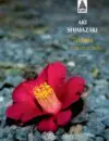 Shimazaki_Tsubaki_ Babel WEB