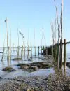 Riviere-O-c-Marcotte-C_6069