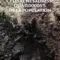 LAVERDURE_B_Ce_livre_HamacWEB