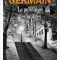 169_Germain_La-puissance_AM WEB